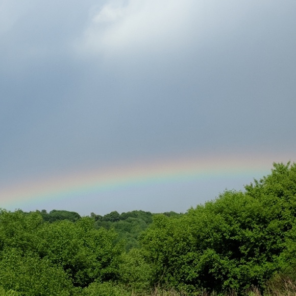 Meet your Posher, Kylie☀️ - Picture 5 of 5